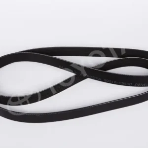 Popularny Pasek osprzętu