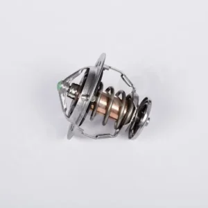 Termostat Bezpieczna płatność