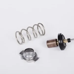 Zamów teraz Termostat