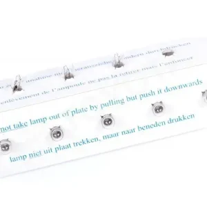 Żarówka Szybka dostawa