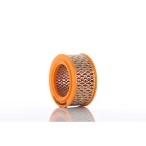 Bezpieczna płatność Wkład filtra powietrza PZL Sędziszów WA20-72