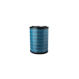 Filtr powietrza Donaldson DBA5067 Szybka dostawa