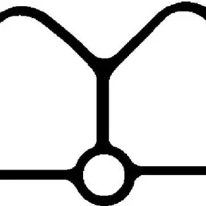 AJUSA Uszczelka, kolektor dolotowy 13077200 Najlepsza cena