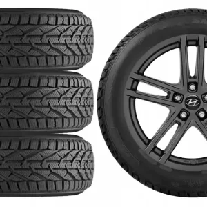 Wysoka jakość NOWE KOŁA ZIMA Hyundai i30 (PDE) Riken 205/55R16-8