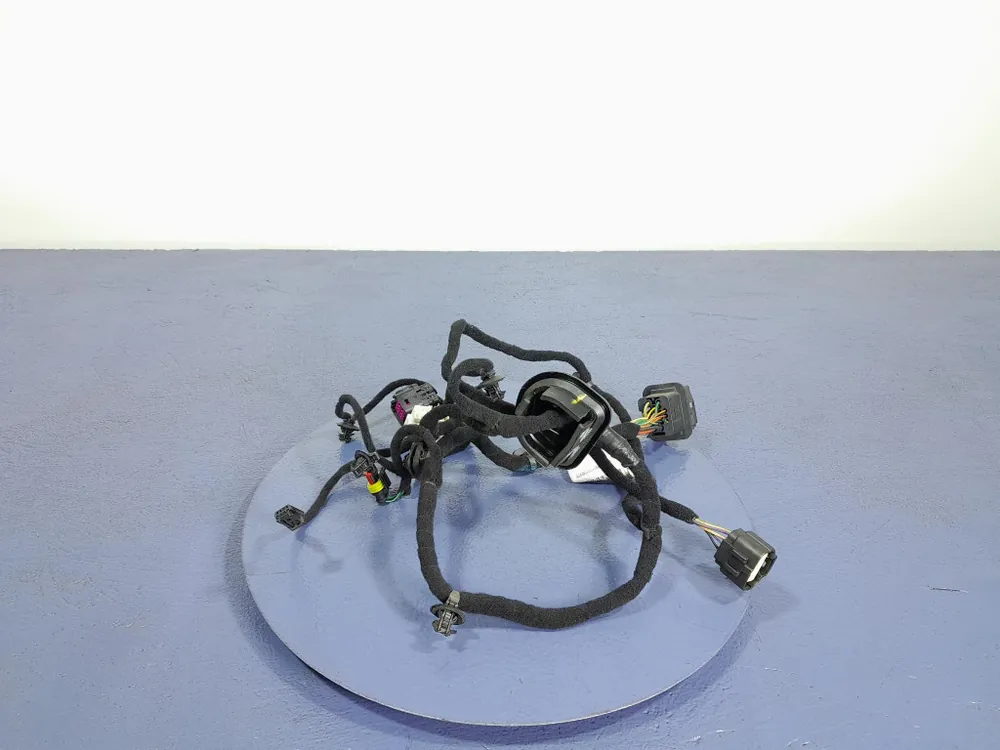 ALFA ROMEO TONALE WIĄZKA INSTALACJA DRZWI TYŁ TYLNA PRAWA 00505696400 Oferta